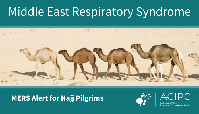 Middle East Respiratory Syndrome (MERS) and Hajj