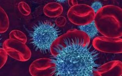 Blood Borne Viruses and STIs